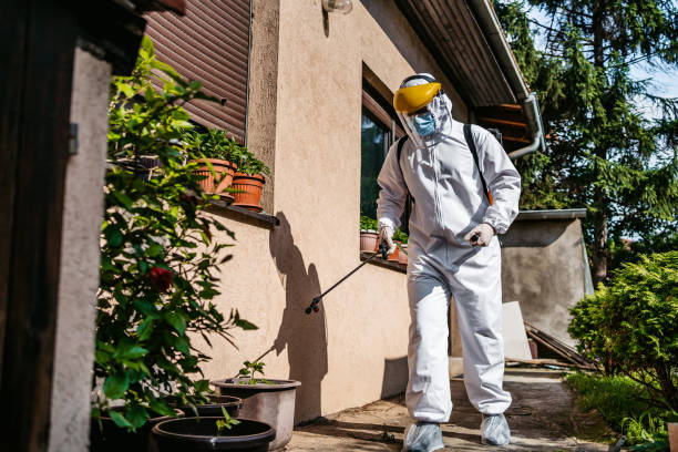 Best Residential Pest Control  in Curtice, OH