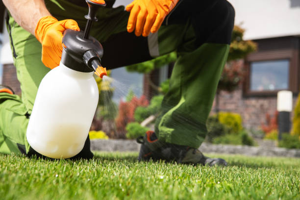 Best Pest Prevention Services  in Curtice, OH