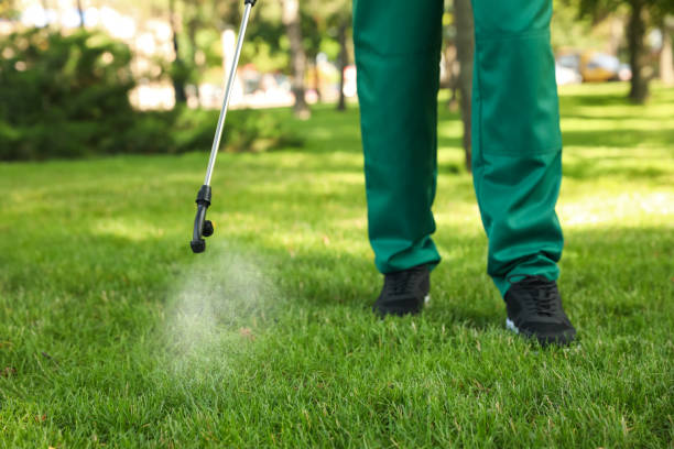 Best Pest Control Treatment  in Curtice, OH