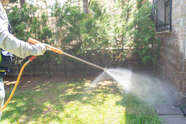 Best Affordable Pest Control Services  in Curtice, OH