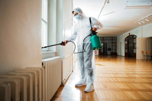 Wasp Removal Services in Curtice, OH