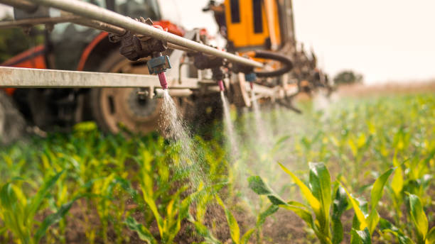 Best Insect Control  in Curtice, OH